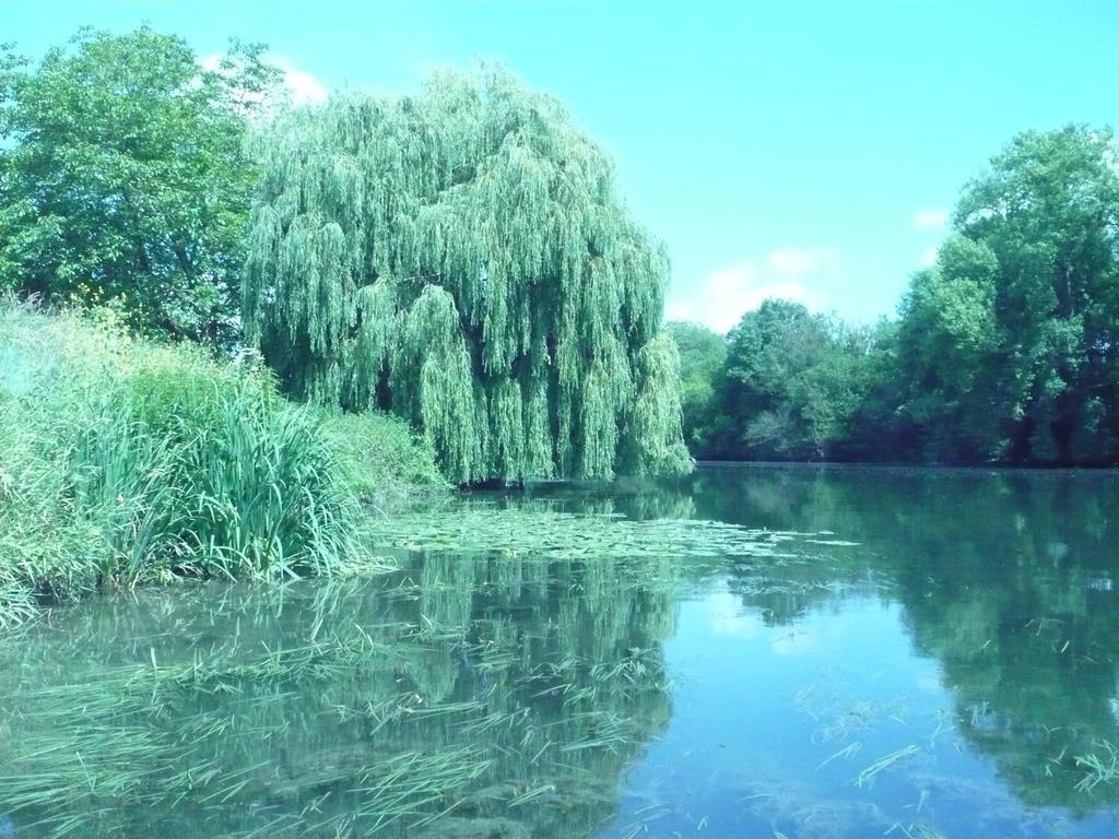 Le Havre De Bennecourt Bed & Breakfast Luaran gambar